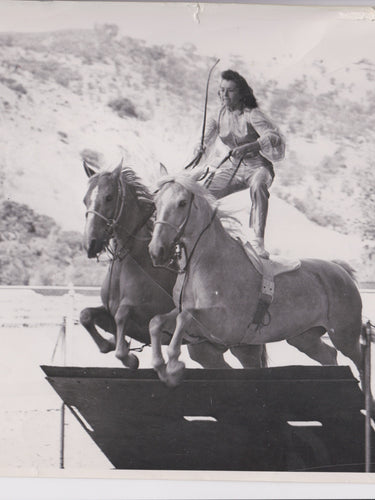 Wild Rider Rider Wild Rider Co.